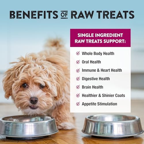 Northwest Naturals Raw Rewards Freeze-Dried Beef Heart Treats - 3oz