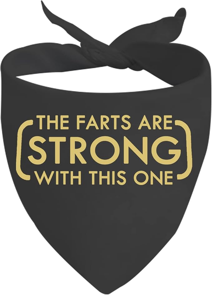 JXGZSO 1 Piece The Farts are Strong with This One Dog Bandana Funny Dog, 70cm * 34cm