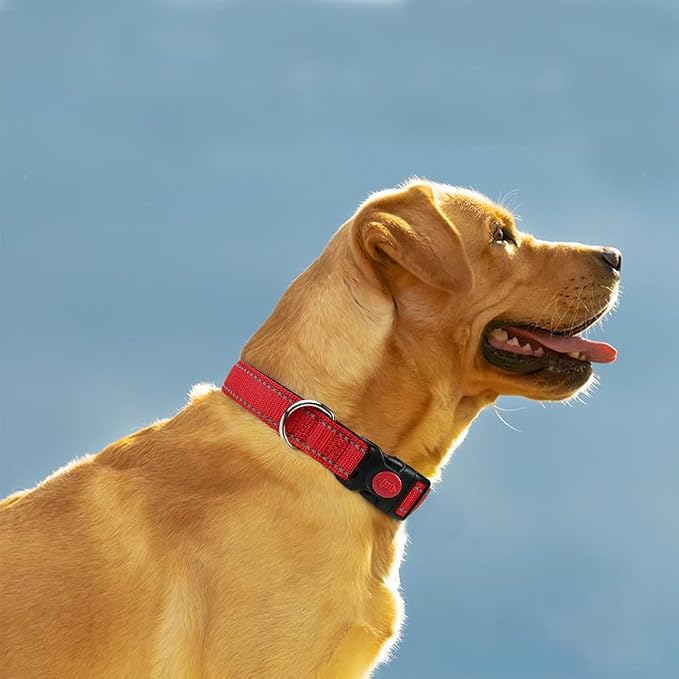 Taglory 18"-28" Length, 1 1/4" Wide Dog Collar and Leash Set, 1/2" x 6 FT Highly Reflective Threads Dog Leash for Large Dogs,Red