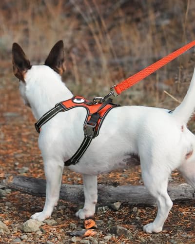 Joytale Dog Harness (Chest: 12-21"), Dog Collar and 6FT x 3/4" Wide Dog Leash Set, Reflective Padded Nylon Collar and Leash, Adjustable Soft Harness with Handle for Dogs