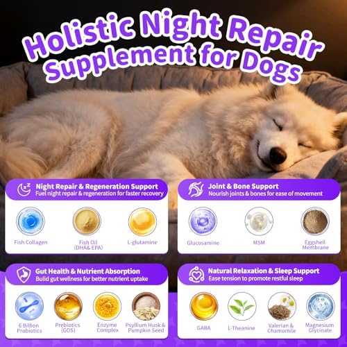 Dog Multivitamin Powder – Calm, Repair, Joint & Gut, Beef, 75 Scoops | Dog Vitamins and Supplements for Nighttime Repair for Homemade Food with Collagen, Glucosamine, GABA, Probiotics