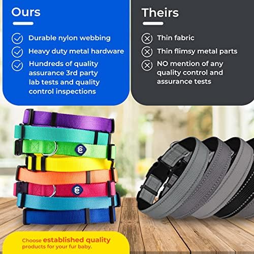 Blueberry Pet Essentials Small | Fall | Female Small | Orange Vermilion for Small Dogs | Quick Release | Orange Vermilion Nylon
