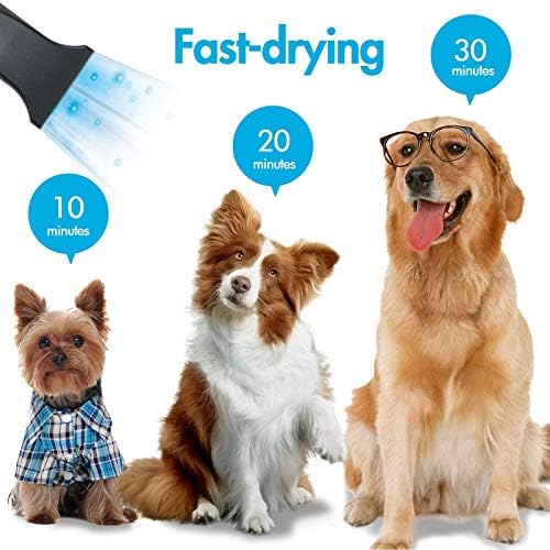 2400W Dog Hair Dryer Blaster Pet Grooming Hair Dryer High Velocity Motorbike Dryer with Adjustable Temperature for Dogs & Cats,with 2.3M Flexible Hose and 3 Nozzles,A Comb and A Glove