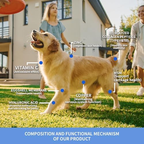 Premium Liquid Collagen for Dogs - Promotes a Glossy Coat, Hip & Joint Flexibility - Easy-Absorb Hydrolyzed Collagen Peptides with Eggshell Membrane - 2 fl oz