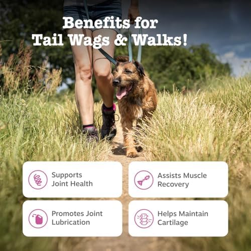 Hip & Joint Advanced Mobility Soft Chews for Dogs – Duck Flavor, 90 Soft Chews – Supports Everyday Mobility, Joint Comfort & Active Lifestyle for All Dog Sizes
