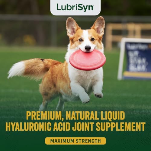 LubriSyn HA Hip & Joint Supplement Plus MSM for Dogs & Cats, 32 oz