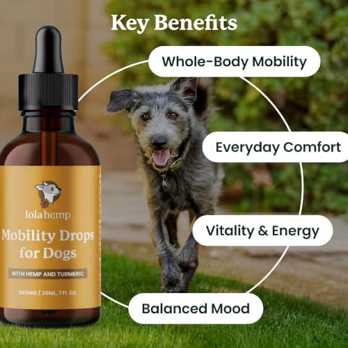 Lolahemp Mobility Drops for Dogs – Organic Hemp & Turmeric – Whole-Body Mobility, Hip & Joint, and Everyday Comfort