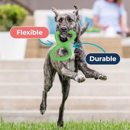 Tuggfinity - BPA-Free, Stretchy Durable Figure 8 Tug Toy - Lime | Grab, Stretch, Tug, Durable Dog Toy Strong, Enthusiastic Tuggers Safe, Durable Zogoflex BPA-Free, Rop Rack Dishwasher Safe.