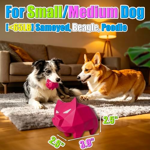 Latex Squeaky Dog Toys for Small & Medium Dogs 2-Pack, 3.9x2.5x2.5'' | Soft Rubber, Lightweight, Float On Water, Reduce Boredom, Fun Fetch, Chase, Puppy Indoor Outdoor Playing