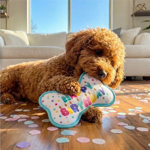 Outward Hound Tough Skinz Birthday Bone Dog Toy, Extra Durable Plush, No Messy Filling, Jumbo Squeaker, All Breeds, 9"