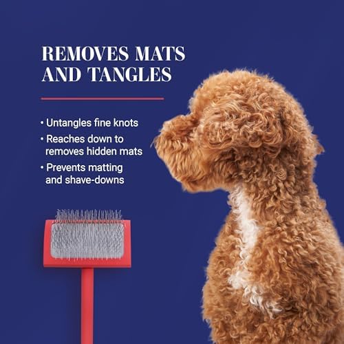 Chris Christensen Baby G Dog Slicker Brush for Dogs (Goldendoodles, Small, Coral
