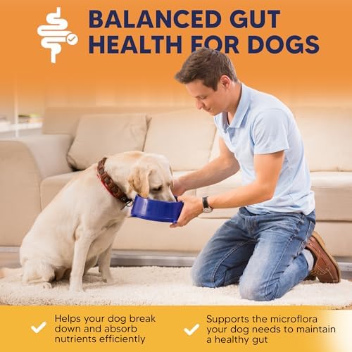 Better Dog Belly Probiotic Supplement for Digestive Health, Powder Prebiotics & Probiotics for Dogs, Supports Gut Health & Balanced Pet Nutrition, 8 Oz Bag