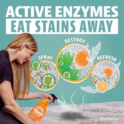 ANGRY ORANGE 1 Gallon Enzyme Cleaner and Deodorizer, Pet Stain and Odor Remover for Dog & Cat Urine and Stains - Citrus, Made in USA