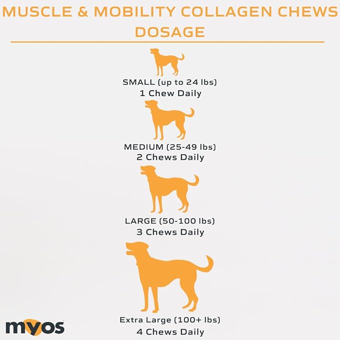 MYOS Canine Muscle & Mobility Chews - Dog Joint Supplement - 60 Count