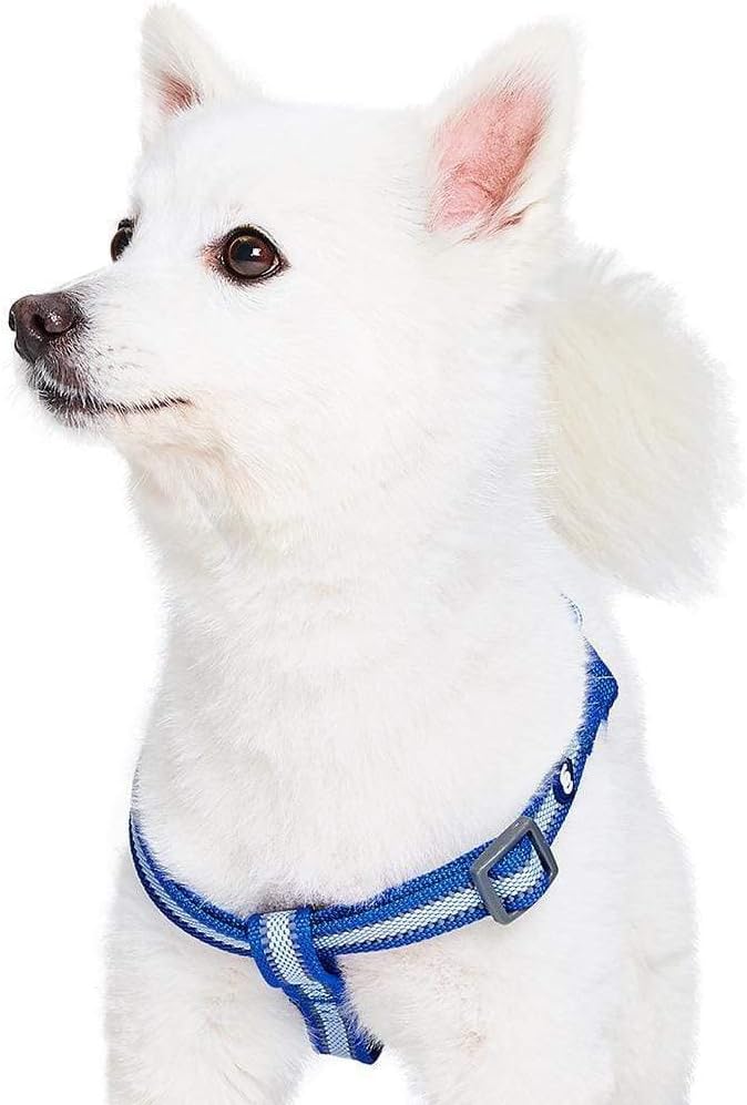 Blueberry Pet Essentials Step-in Reflective Back to Basics Dog Harness, Navy Blue, Chest Girth 16.5" - 21.5", Small, Adjustable Harnesses for Dogs