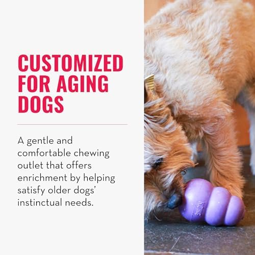 KONG Senior, Gentle Natural Rubber Toy, for Small Dogs (Pack of 2) | Gentle Natural Rubber Stuffable Toy Designed for Older Dogs with Aging Teeth, Holds Treats for Easy Chewing & Gentle Fetch