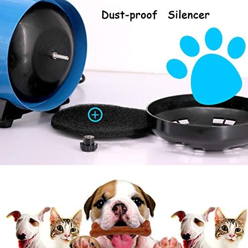 High Velocity Pet Hair Dryer,Dog Dryer Dog Blow Dryer Blower Grooming Dryer with Heater Dogs & Cats,1200W Motor Stepless Adjustable Speed,Reduce Noise, Heat Insulation