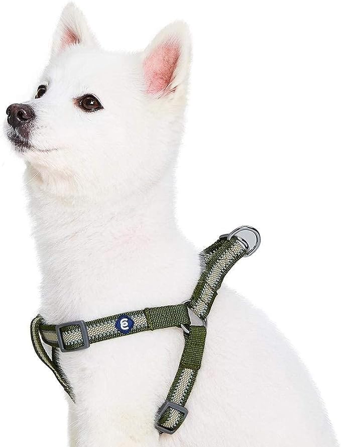 Blueberry Pet Essentials Step-in Reflective Back to Basics Dog Harness, Dark Olive, Chest Girth 16.5" - 21.5", Small, Adjustable Harnesses for Dogs