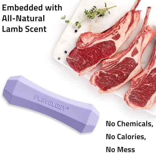 Playology Squeaky Chew Stick - Scented Dog Toy - Medium, Lamb Scent | Rubber Construction, All Natural Scent, Durable Design
