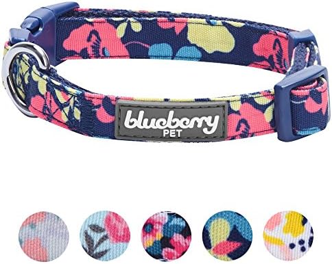 Blueberry Pet Made Well Profound Floral Print Adjustable Dog Collar in Navy Blue, X-Small, Neck 7.5"-10"