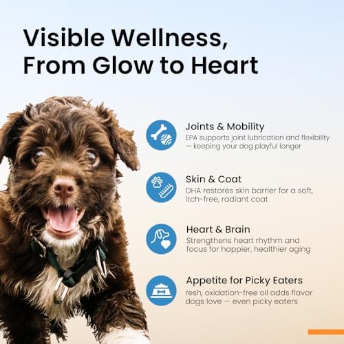 Omega 3 Fish Oil for Dogs – Human Grade, 30 Single Serve Sachets | Norwegian high EPA DHA | Skin & Coat, Shedding & Itchy Skin Relief, Oxidation Protected, Liquid Food Topper