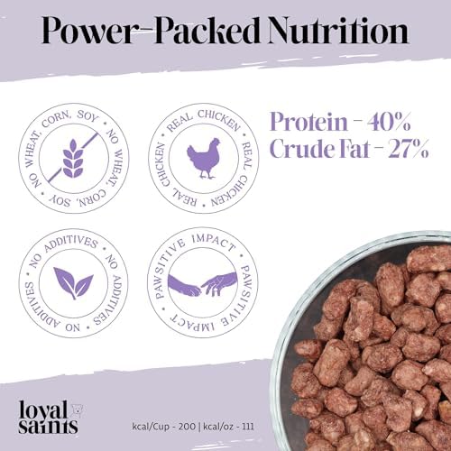 Human Grade Freeze-Dried Raw Dog Food - Cage-Free Chicken, 14oz