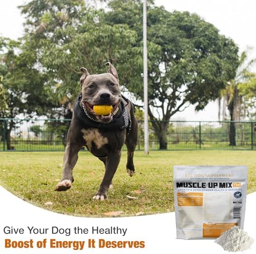 BGK Big Dog Supplement – (BGK Muscle UP)