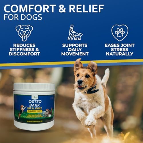 Osteo Bark Hip & Joint Canine Soft Chews, 60 Count, Bone and Joint Support for All Dog Breeds - Glucosamine & Chondroitin Chews with MSM - Pain, Inflammation, Arthritis