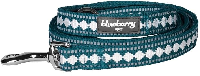Blueberry Pet 3M Reflective Jacquard Dog Leash with Soft & Comfortable Handle, 5 ft x 5/8", Teal Blue, Small, Leashes for Dogs