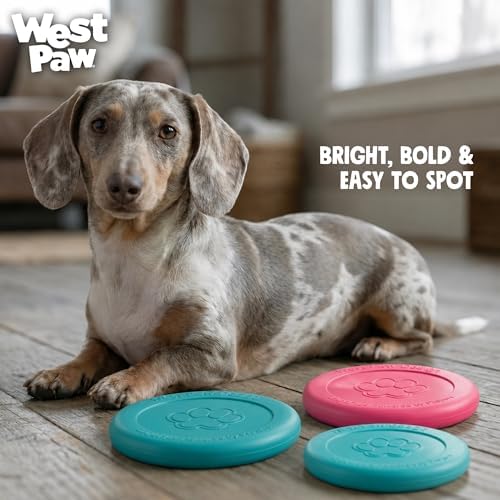 WEST PAW Zogoflex Zisc Dog Flying Disc, High Flying Aerodynamic Disc for Dogs Puppy – Lightweight, Floatable Disc for Fetch, Tug of War, Catch, Play – Doubles as Food/Water Bowl, Large 8.5", Teal