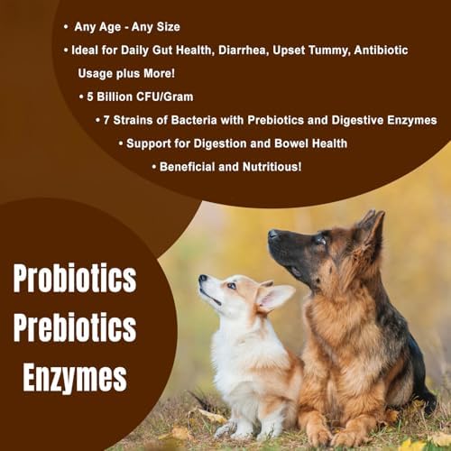 Dogzymes Probiotic Daily Balance - Supplies Nutritional Support and Live microorganisms for intestinal Well-Being as Well as enzymes for Proper Digestion. Liver and Egg Base. (2 Pound)