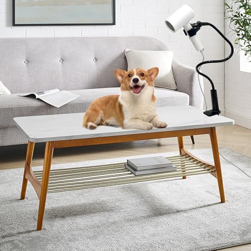 Dog Hair Dryer Holder, Black Alloy Adjustable Lazy Hair Dryer | Hands Free Stand with 360° Rotatable Clamp for Pet Dog Cat Grooming