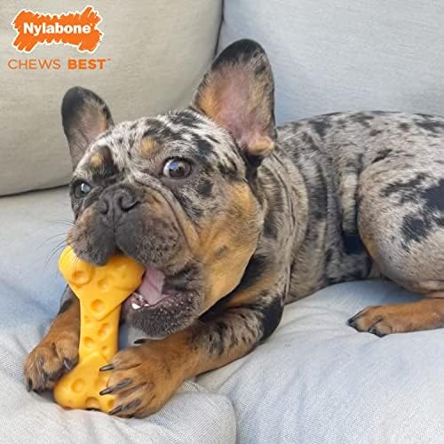Nylabone Power Chew Cheese Bone Dog Chew Toy, Cheese Flavor, Medium | Medium breeds, fill with spreads, long lasting, discourages destructive chewing, durable dog toy for dogs up to 35 lbs
