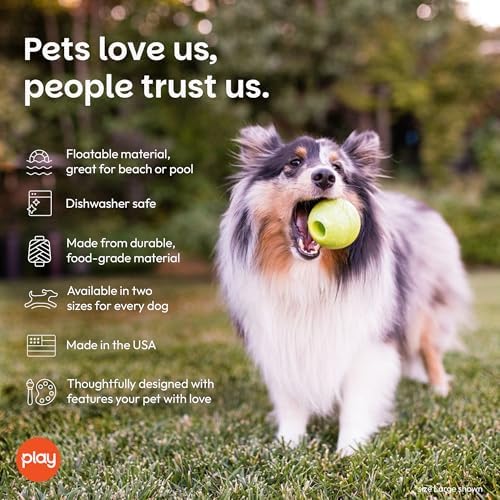 P.L.A.Y. Cute Outdoor Dog Toys - ZoomieRex IncrediBall Rubber Ball Toy, Great for Puppies & Small, Medium, Large Dogs - Dishwasher Safe, Indestructible, Floats in Water, Beach Friendly (Green, Small)