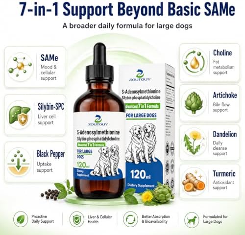 Same for Dogs Liquid with Silybin, Milk Thistle, Dog Liver Supplement, 30ml