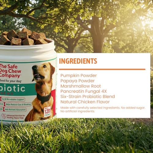 The Safest Probiotic Soft Chews Chicken Flavor 120 Count