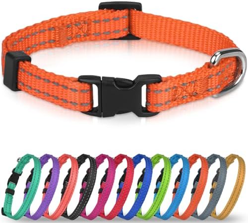 Joytale Feather-Light Puppy Collar for Extra Small Dogs, 3/8", Orange