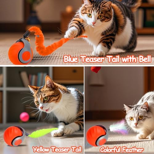 2PCS Interactive Cat Toy Ball, Rechargeable Cat Toys for Indoor Cats | with Feather Tails for Kittens Chasing, Motion Activated Ball for Enrichment, Automatic Rolling Toys to Keep Them Busy Orange