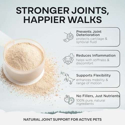 Wild Pets Blue Lipped Mussel & Glucosamine – Dual-Action Dog Hip & Joint Supplement – 500mg Mussel + 500mg Glucosamine per Scoop – 6oz/120 Servings – Higher Protein Than Green lipped Mussels for Dogs