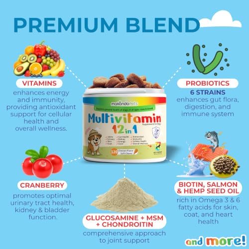 Multivitamin for Dogs 12 in 1 Soft Chews (120ct) Dog Multivitamins Chews | Probiotics Digestive Enzymes, Hip and Joint Support, Skin and Coat Health, Immune Defense, Gut & Cranberry Urinary Care