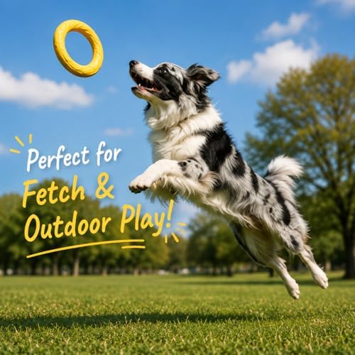 Dog Ring Frisbee Toy EVA Foam Fetch Chew Tug Toy for All Breeds (Purple, Large)