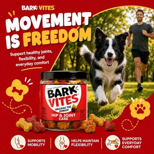Glucosamine Chondroitin Hip & Joint Chews for Dogs, MSM, 180 Count