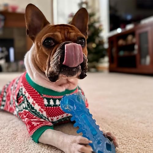 Nylabone Flexi Chew Treatin' Gumabone Dog Chew Toy, Chicken Flavor, Medium | Fill with treats & spreads, medium breeds, dog enrichment toys, freezable, gentle on teeth, bouncy, for dogs up to 35 lbs