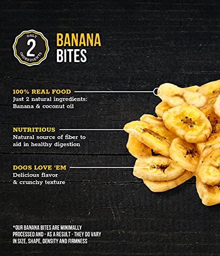 Wholesome Pride Banana Bites Healthy Dog Treats, 2 Ingredients, 8 oz