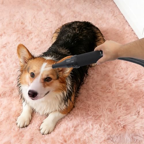 Professional Pet Hair Dryer for Dogs&Cats,3600W High-Speed Dog Dryer with Adjustable Temperature (77-149℉) & Airspeed (98-230 ft/s),with 2 Nozzles for Home Use,Pet Salon,60dB Quiet Drying (Blue)