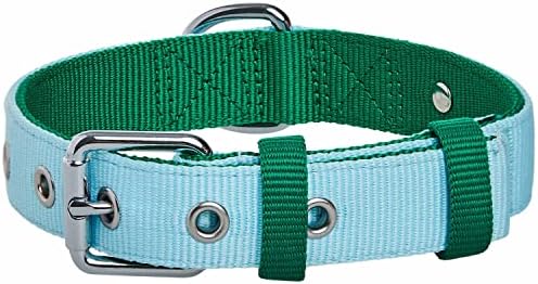 Blueberry Pet Iconic Color-Block Adjustable Dog Collar with Metal Buckle, Sky Blue and Dark Green, Neck 17-20.5", for Large Breed
