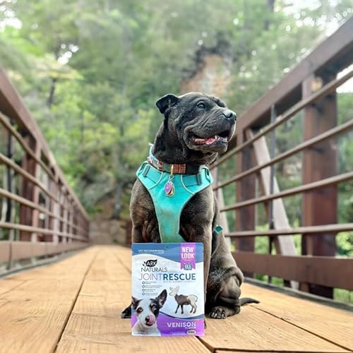 ARK NATURALS, Pet Sea Mobility Venison Jerky, 9 Ounce