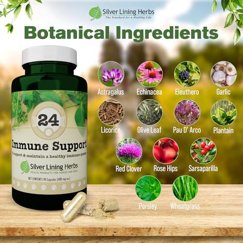 Silver Lining Herbs Dog Immune Support Supplement - 90 Capsules