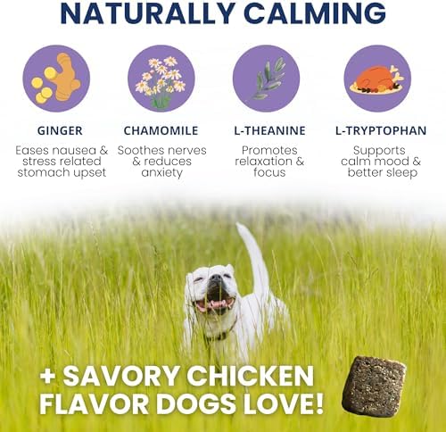 Under the Weather Calming Chews for Dogs | Vet Formulated Dog Calming Chew Treats | Natural Stress Support | Helps with Anxiety, Stress & Thunderstorms | Chicken Flavor Dog Calming Aid | 60 Count