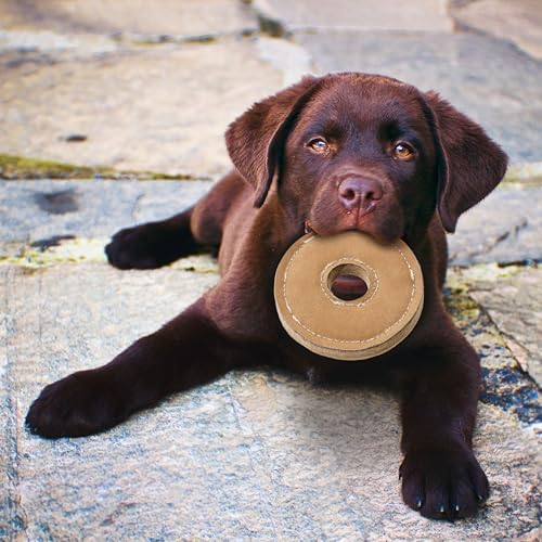 SPOT Dura-Fused Chunkies Ring Dog Toy, Natural Leather and Felt, Durable Chew Toy for Aggressive Chewers, No Squeak or Fluff, for Adult Dogs and Teething Puppies, 6 in